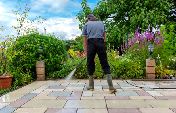 Best Restaurant Pressure Washing  in Hollywood Park, TX