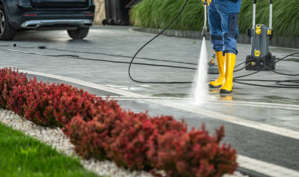 Best Soft Washing  in Hollywood Park, TX